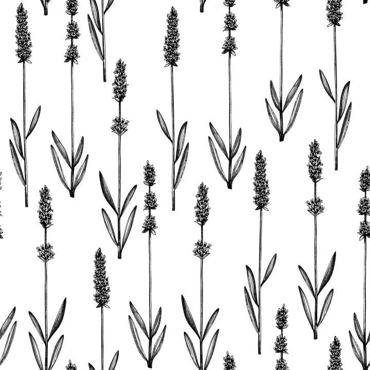 Ink hand drawn lavender backdrop. Vector herbs seamless pattern with lavender sketches. Herbal tea ingredients. Perfect for cosmetic, perfumery packing, fabric, wrapping paper, prints.